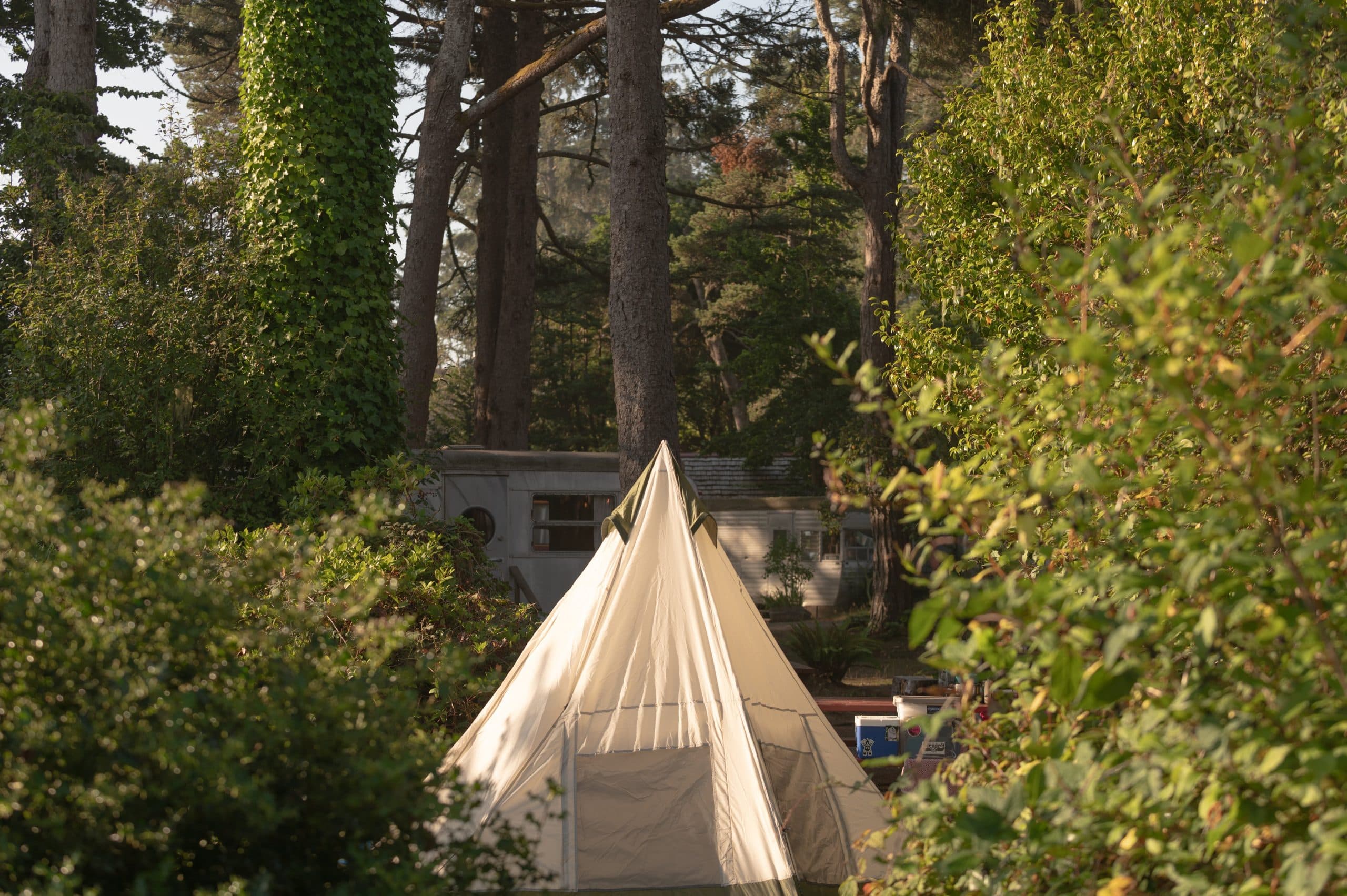 Camping